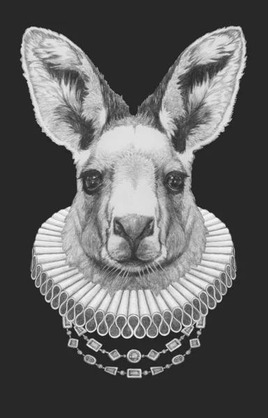 Portrait Kangaroo Elizabethan Collar Hand Drawn Illustration — Stock Photo, Image