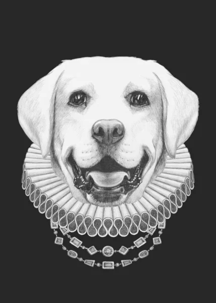 Portret Van Labrador Met Elizabethaanse Halsband Handgetekende Illustratie — Stockfoto