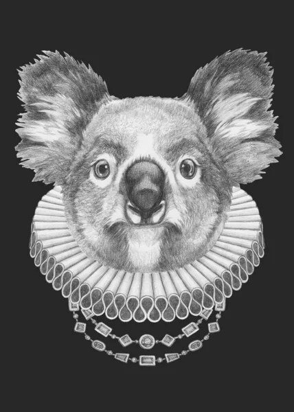 Retrato Koala Con Cuello Isabelino Ilustración Dibujada Mano — Foto de Stock