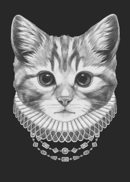 Porträt Eines Kätzchens Mit Elisabethanischem Halsband Handgezeichnete Illustration — Stockfoto