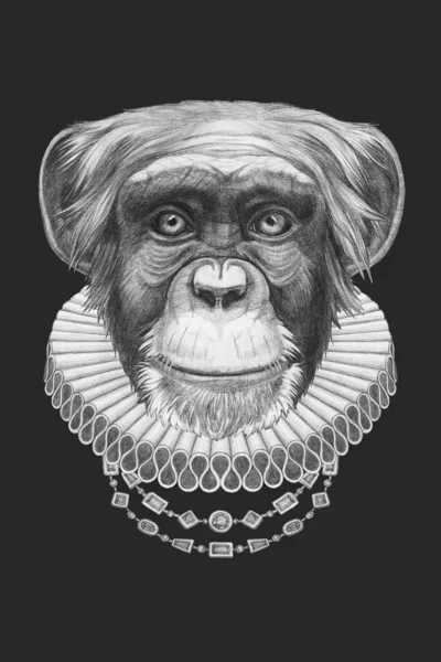 Portret Małpy Elżbietańskim Kołnierzem Ilustracja Ręcznie Rysowana — Zdjęcie stockowe