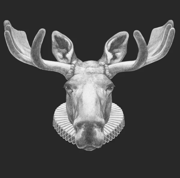 Πορτρέτο Του Moose Elizabethan Collar Χειροποίητη Απεικόνιση — Φωτογραφία Αρχείου