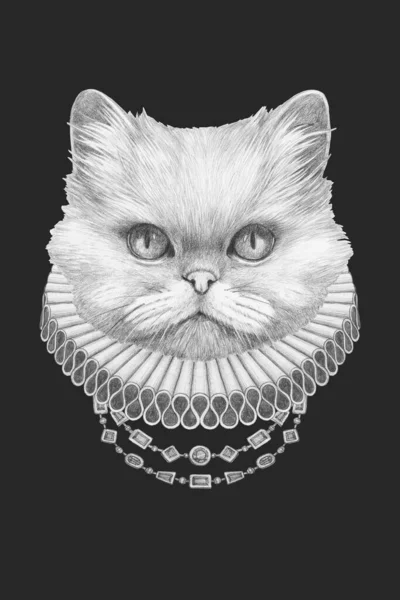 Portret Van Perzische Kat Met Elizabethaanse Halsband Handgetekende Illustratie — Stockfoto