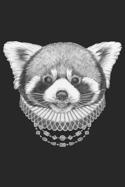 Retrato Panda Rojo Con Cuello Isabelino Ilustración Dibujada Mano —  Fotos de Stock