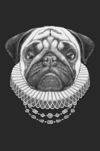 Portret Van Pug Dog Met Elizabethaanse Halsband Handgetekende Illustratie — Stockfoto