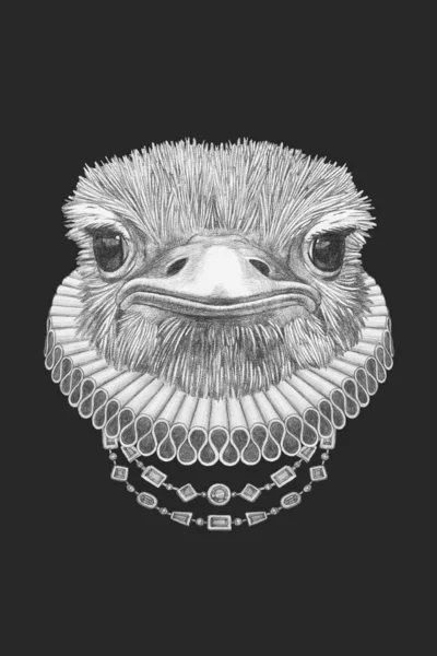Retrato Avestruz Con Cuello Isabelino Ilustración Dibujada Mano — Foto de Stock