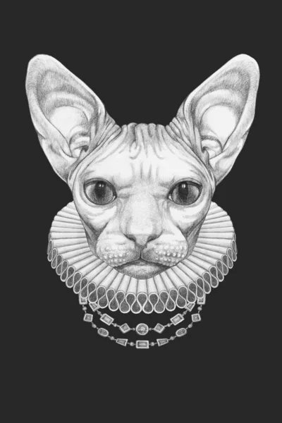 Porträt Der Sphynx Cat Mit Elisabethanischem Halsband Handgezeichnete Illustration — Stockfoto