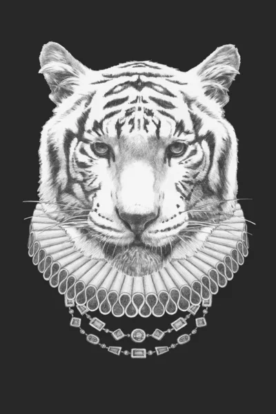Ritratto Tigre Con Colletto Elisabettiano Illustrazione Disegnata Mano — Foto Stock