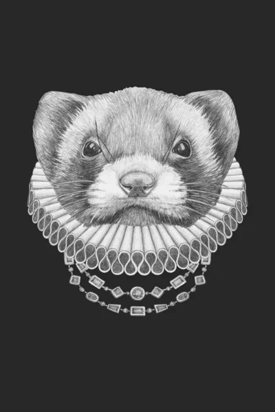 Retrato Least Weasel Com Elisabetano Collar Ilustração Desenhada Mão — Fotografia de Stock