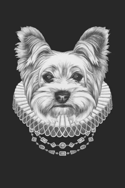 Portret Van Yorkshire Terrier Met Elizabethaanse Halsband Handgetekende Illustratie — Stockfoto