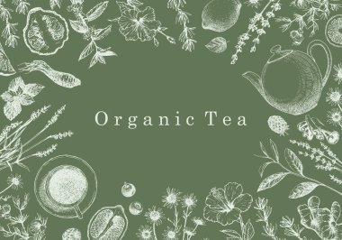Organik çay. Bitkilerin ve nesnelerin el çizimi. Mürekkep. Vektör
