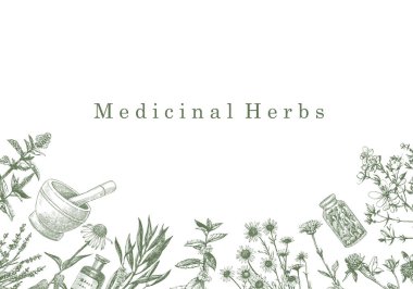 Şifalı bitkiler. Elle çizilmiş bitki ve nesneler. Mürekkep. Vektör