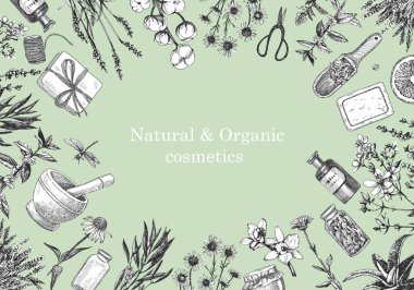 Doğal ve Organik Kozmetik. Bitkiler. Bitkilerin ve nesnelerin el çizimi. Mürekkep. Vektör