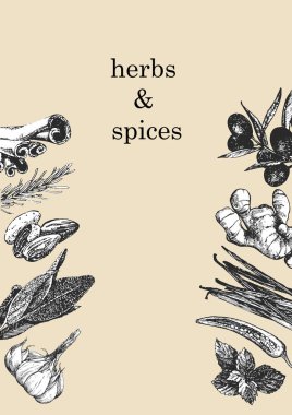 Bitkiler ve Baharatlar. Bitkilerin ve nesnelerin el çizimi. Mürekkep. Vektör