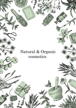 Doğal ve Organik Kozmetik. Bitkiler. Bitkilerin ve nesnelerin el çizimi. Mürekkep. Vektör