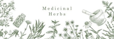 Şifalı bitkiler. Elle çizilmiş bitki ve nesneler. Mürekkep. Vektör