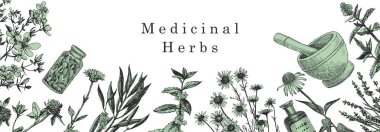 Şifalı bitkiler. Elle çizilmiş bitki ve nesneler. Mürekkep. Vektör