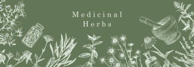 Şifalı bitkiler. Elle çizilmiş bitki ve nesneler. Mürekkep. Vektör