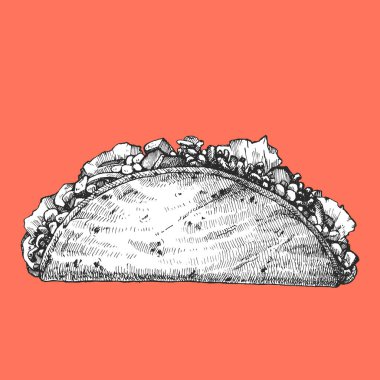 Meksika yemeği. Fajita 'nın el çizimi çizimi. Mürekkep. Vektör