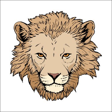 Aslan Portresi. Elle çizilmiş illüstrasyon. Vektör