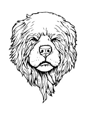 Köpek portresi. Elle çizilmiş illüstrasyon. Vektör