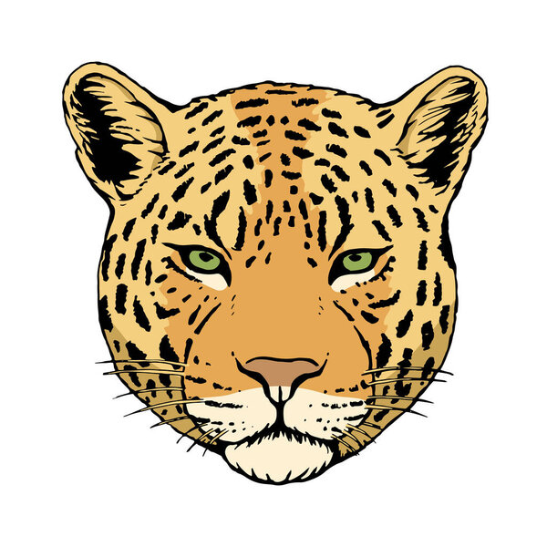 Portrait of Leopard. Hand-drawn illustration. Vector