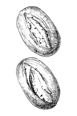Ev yapımı ekmekler, el yapımı çizimler, vektör illüstrasyonu 