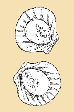 El tarağı çizimi, vektör illüstrasyonu 