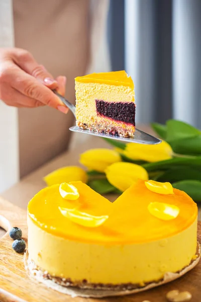 Woman holds no baked raw cake made with dates, cashews and mango. High quality photo