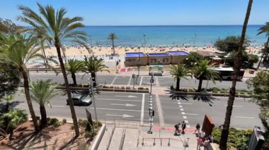 Alicante, İspanya - 29 Mayıs 2025: İnsanlar bir yaz günü kumlu sahil ve mavi okyanus dalgaları üzerinde güneş parlarken palmiye ağaçlarıyla çevrili plajda yürüyorlar.