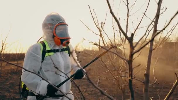 Zpracování Sadů Postřikuje Zahradu Muž Stříkací Pistolí Ošetření Chemikáliemi Nebo — Stock video