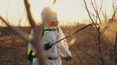 Bir çiftçi, yemyeşil büyümesi için bir ağaca organik gübre püskürtüyor. Bahçe bakımı. Tarım ve bahçıvanlık. Yüksek kalite 4k görüntü