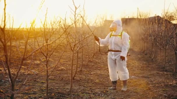 Ouvrier Agricole Occupe Son Jardin Pulvérisation Arbres Contre Les Ravageurs — Video
