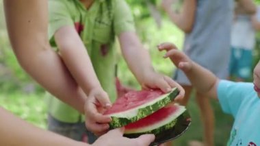 Mutlu çocuklar sulu karpuz dilimlerini alıp yaz pikniğinde yerler. Mutlu çocukluk kavramı. Piknik için mevsimlik meyveler. Aile tatili. Yüksek kalite 4k görüntü