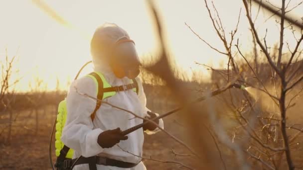 Bahçedeki Ağaçlarla Ilgilenen Bir Işçi Böceklere Karşı Koruyucu Kimyasal Ilaçlarla — Stok video