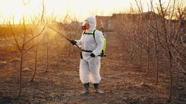 Farmář Rozstřikuje Strom Insekticidem Který Rozprašuje Pesticidy Jarní Zahradě Obecný — Stock video
