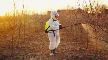 Tulumlu bir çiftçi ve baharda meyve ağaçları soluyor. Kimyasal rezistans giysisi içinde tam yüz solunum cihazıyla bir tarım işçisi. Bahçeyi ilaçlıyor. Yüksek kalite 4k görüntü