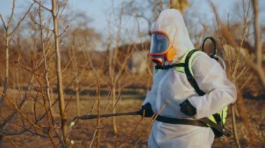 Bir çiftçi, bir bahar bahçesine böcek ilacı püskürtücüsüyle bir ağaca püskürtüyor. Bahçeye koruyucu giysiyle gübre sıkan bir işçinin genel görüntüsü. Yüksek kalite 4k görüntü