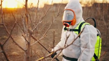 Bir bahçıvan, tehlikeli madde giysisine böcek ilacı sıkar. Tarım ürünleri konsepti. Organik yiyecekler ve sağlıklı yiyecekler. Yüksek kalite 4k görüntü