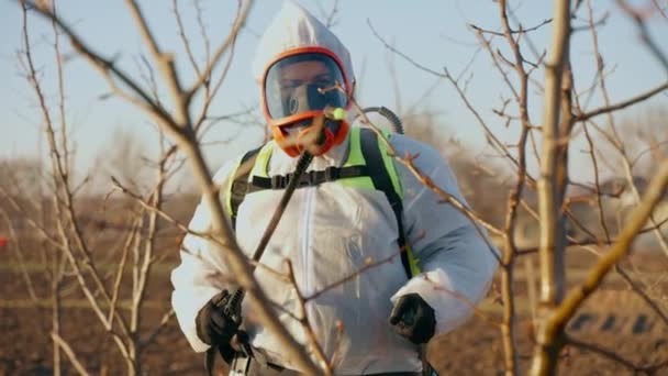 Zahradník Rozprašuje Pesticidy Nezávadném Obleku Zemědělský Zahradnický Koncept Organické Jídlo — Stock video