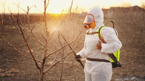 Farmer Sprays Tree Hand Sprayer Organic Fertilizers Lush Growth Garden — Stock Video