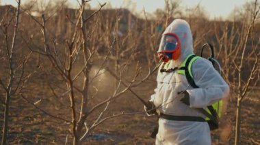 Bir bahçıvan koruyucu giysiyle böcek ilacı sıkar. Baharın bahçesindeki bahçe ağaçlarını yakından inceliyorum. Tarım ve bahçıvanlık. 4k biçiminde yüksek kaliteli atış