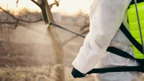 Bir Bahçıvan Koruyucu Giysiyle Böcek Ilacı Sıkar Baharın Bahçesindeki Bahçe — Stok video