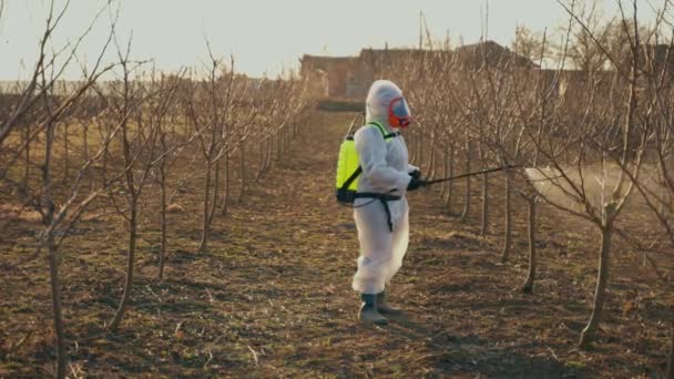与害虫作斗争 一位园丁在喷洒化学品的果园里的一排排果树之间走着 用手部喷雾器花园护理 4K格式的高质量射击 — 图库视频影像