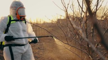 Bahçıvan çiçek açan meyve ağacını bitki hastalıklarına ve zararlılara karşı ilaçlıyor. Bahçede böcek ilacı kullanan bir el spreyi kullanıyor. Yer çekimi. 4k kalite görüntü.