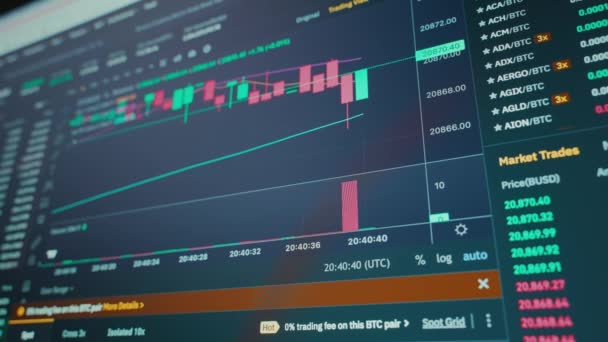Crypto Currency Stock Market Digital Animation Price Changes Stock Market — Vídeo de stock