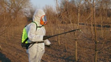 Bahçıvan çiçek açan meyve ağacını bitki hastalıklarına ve zararlılara karşı ilaçlıyor. Bahçede böcek ilacı kullanan bir el spreyi kullanıyor. Yer çekimi. 4k kalite görüntü.