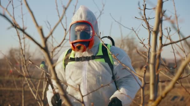 庭の木を世話する労働者 保護化学農薬や肥料で木を噴霧 高品質4K映像 — ストック動画