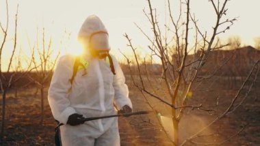 A gardener sprays pesticides in a protective suit. Processing garden trees in spring. Agriculture and gardening. High quality 4k footage