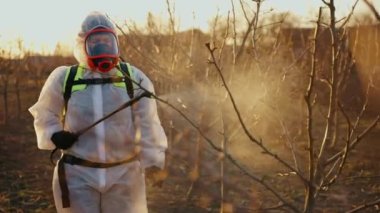 A gardener sprays pesticides in a protective suit. Processing garden trees in spring. Agriculture and gardening. High quality 4k footage